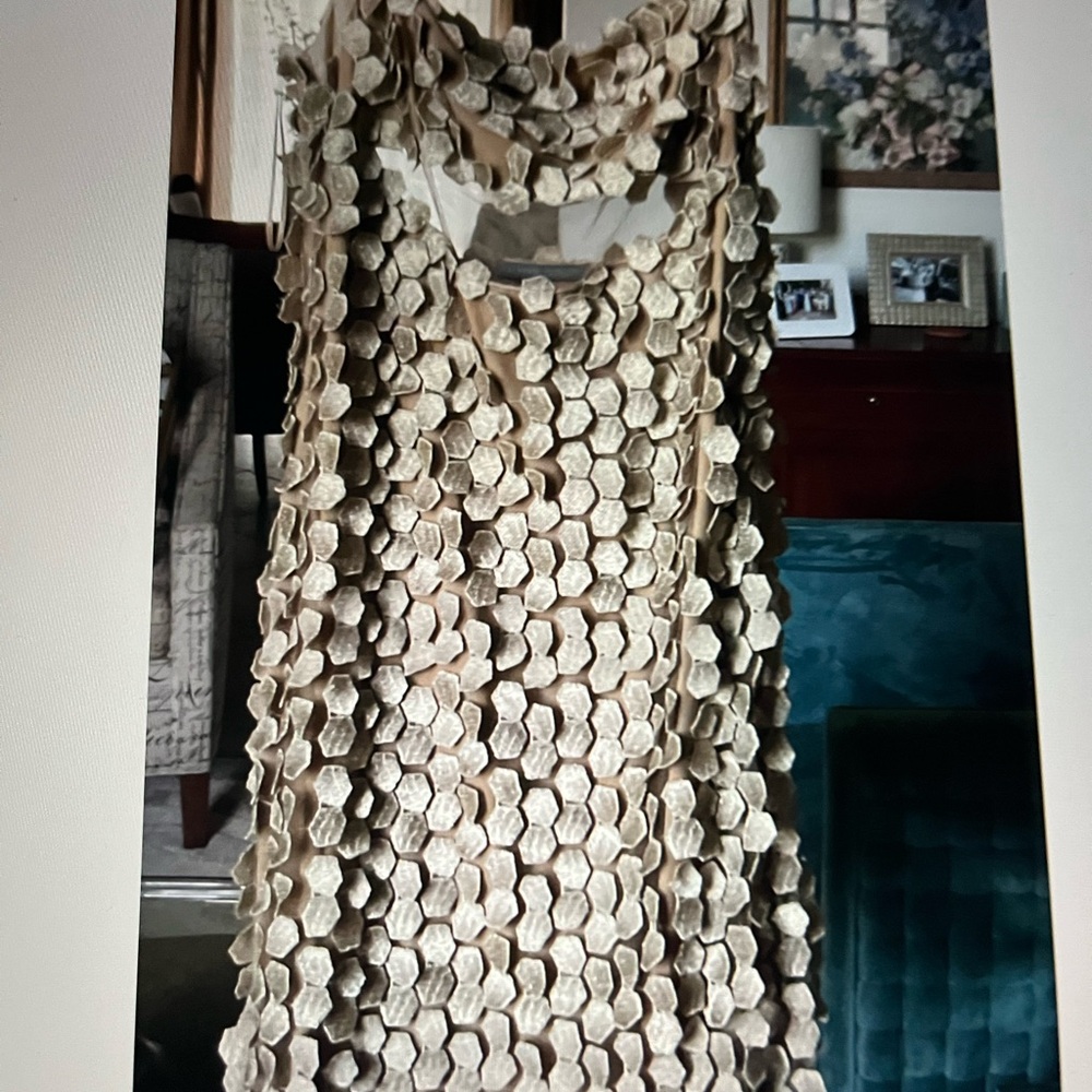 Alberta Ferriti Elegant Gold and Sheer Patterned Dress - Picture 5 of 6